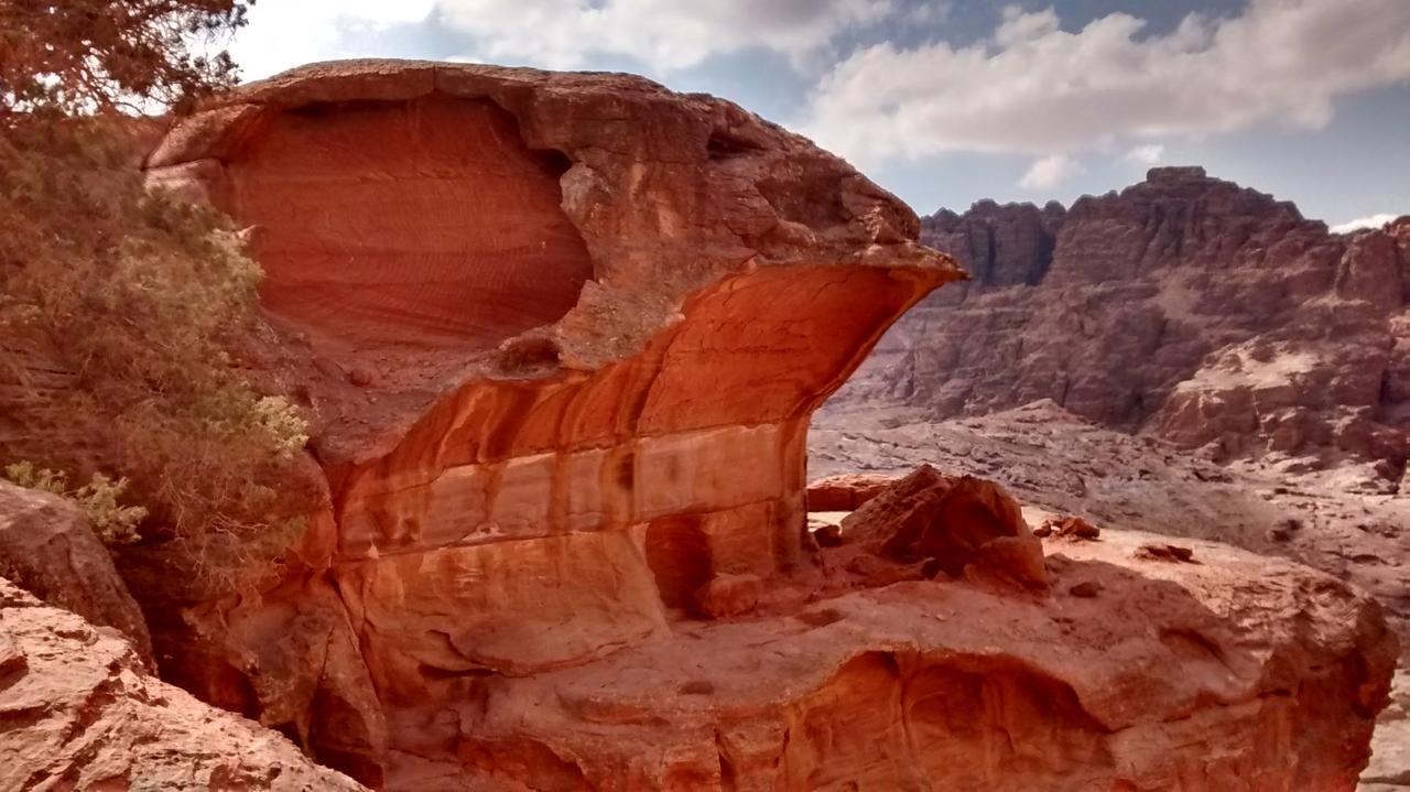 Petra Bedouin Bed And Breakfast Wadi Musa Luaran gambar